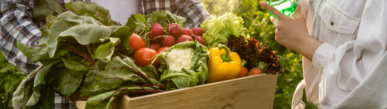 Woman with a box of vegetables